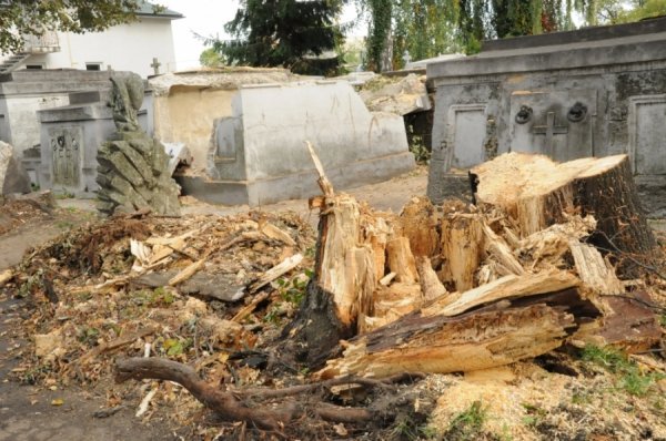 Порахували збитки від негоди на Львівщині. ФОТО