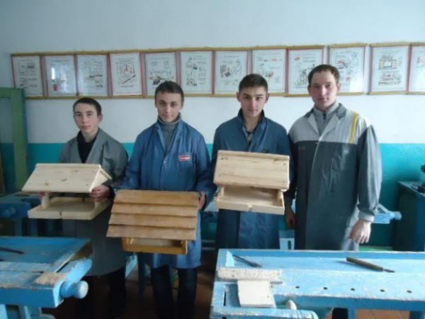 Лісівники і дітлахи на Волині виготовили сотні годівничок