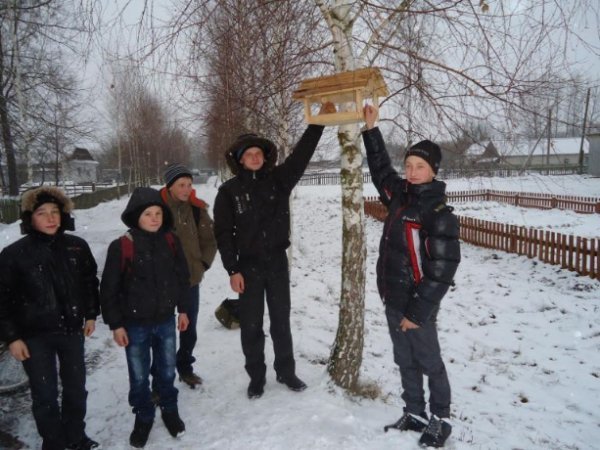 Лісівники і дітлахи на Волині виготовили сотні годівничок