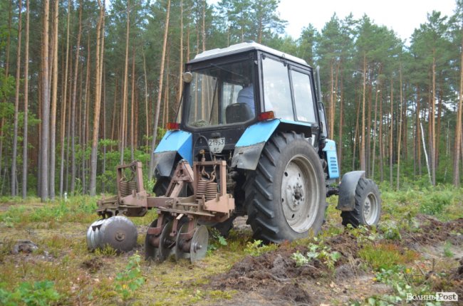 Потрібно доглядати: навіщо журналістів вивезли до Скулинського лісу