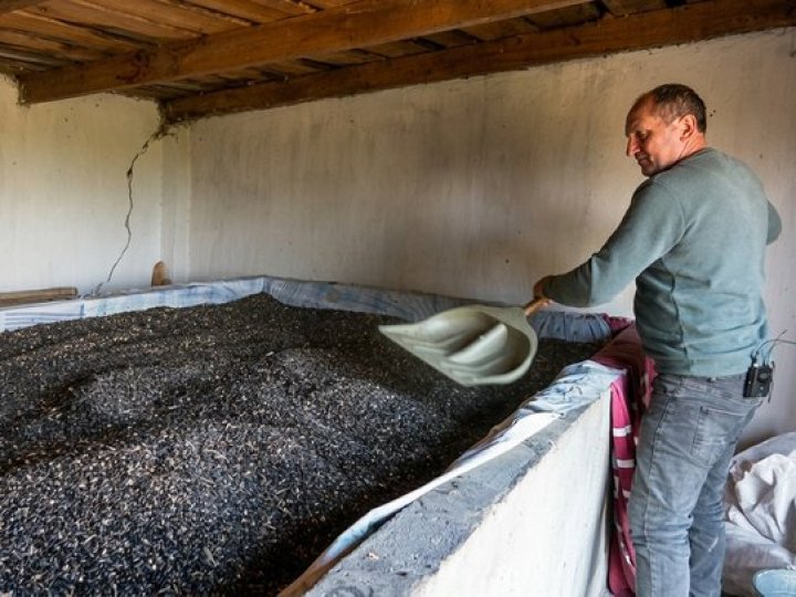 25 років у фермерстві: як ветеран війни з Волині виготовляє крафтову олію та вирощує малину