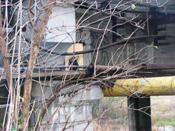 Через пожежу у Луцьку були знеструмлені завод і лікарня. ФОТО