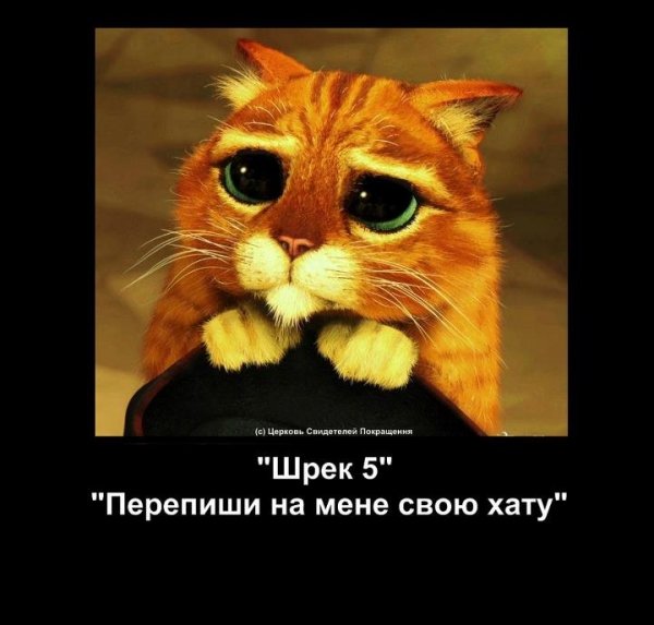 Бабуся і кіт: фотожабоманія триває. ФОТО