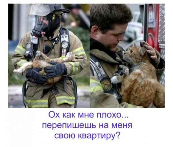 Бабуся і кіт: фотожабоманія триває. ФОТО