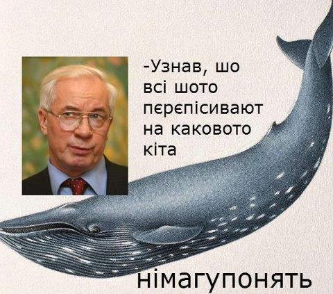 Бабуся і кіт: фотожабоманія триває. ФОТО