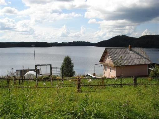 Бабуся, яка переписала хату на кота, – росіянка і кота немає. ФОТО