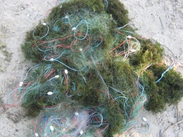 На Волині зловили браконьєрів