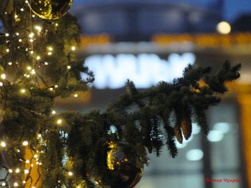 Святкові вогні вечірнього Луцька. ФОТО