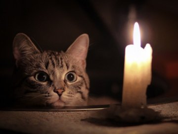 Де у Луцьку не буде світла 22 серпня