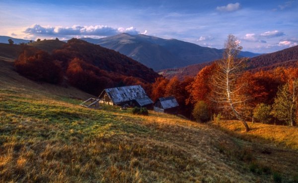 Пейзажі золотої пори: відтінки осені в Україні. ФОТО