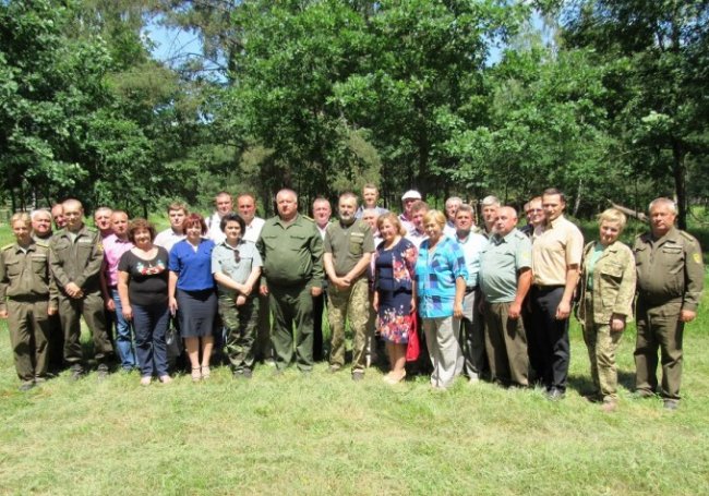 На Волині через короїдів всихають соснові ліси. ФОТО