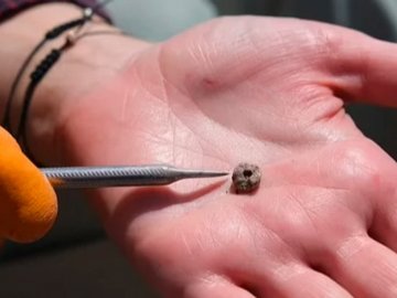 Як виглядав пірсинг 11 тисяч років тому: неймовірна знахідка археологів у Туреччині