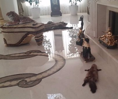 «Пшонка-стайл» у будинку Ківалова, який захопили активісти в Одесі. ФОТО