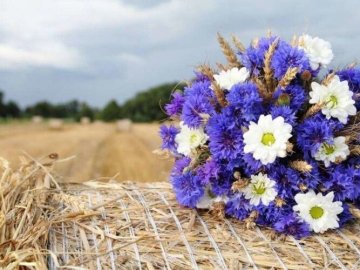Погода у Луцьку на завтра, 5 серпня