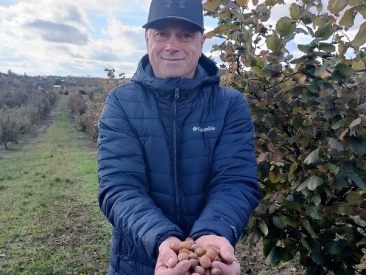 Волинянин отримав від держави 250 тисяч і почав вирощувати фундук. ВІДЕО