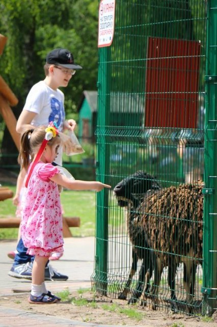 У Луцькому зоопарку в мавпочок з'явилось нове помешкання. ФОТО
