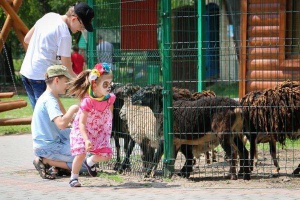 У Луцькому зоопарку в мавпочок з'явилось нове помешкання. ФОТО