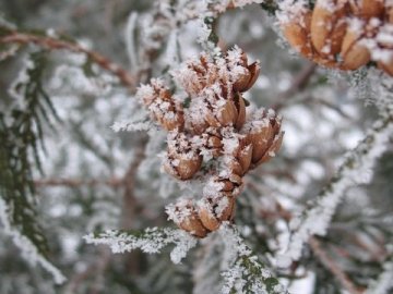 4 січня – Анастасії: що можна і чого не варто робити в цей день 