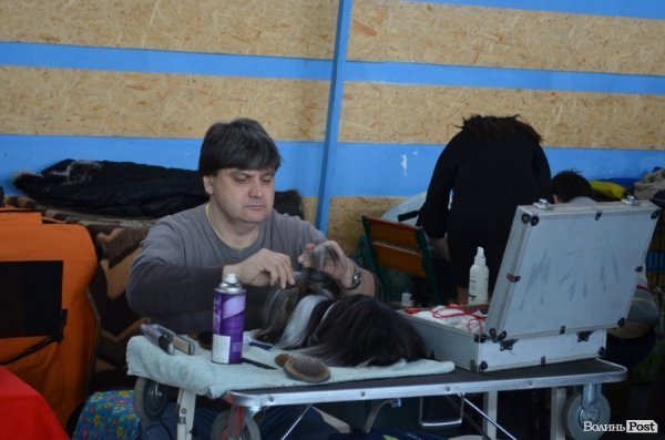 У Луцьку ‒ виставка собак. ФОТО