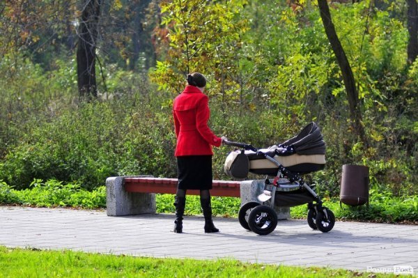«Бабине літо» і «бебі-бум» Луцьку. ФОТО