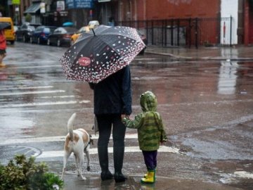 Якою буде погода в Луцьку у четвер, 25 жовтня