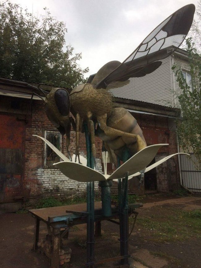 Бджола, яка «поселилася» на Волині, важить 400 кг