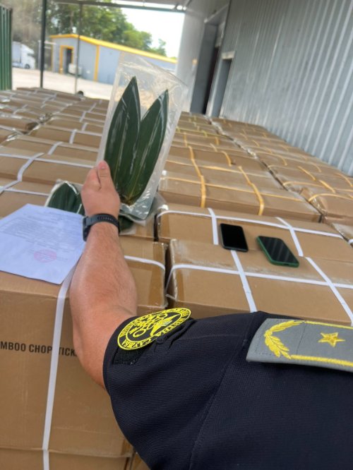 Через «Ягодин» намагались незаконно провезти 780 кілограм листя бамбука. ФОТО