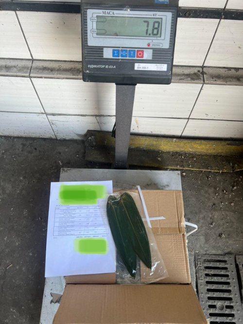 Через «Ягодин» намагались незаконно провезти 780 кілограм листя бамбука. ФОТО