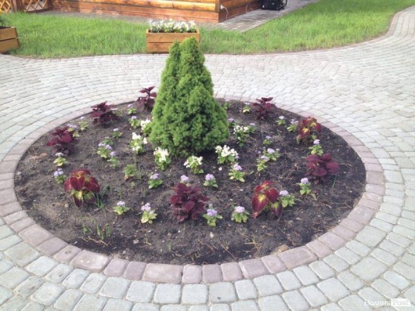 Рекреаційні пункти Волині - природа, затишок та економний відпочинок. ФОТО