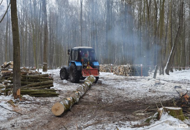 Хлист доставляють на верхній склад