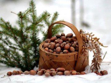 Погода у Луцьку на завтра, 24 січня