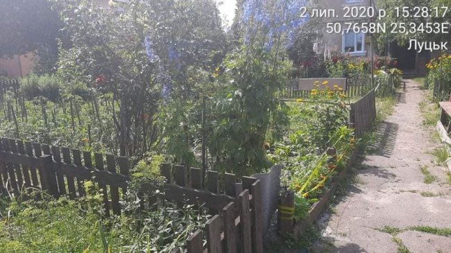  Нібито приватні території: мешканців луцьких багатоповерхівок змушують демонтувати незаконні паркани, городи і шини з квітами 