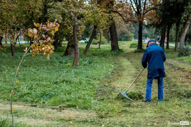 Жовто-багряний настрій: Луцьк на осінніх світлинах