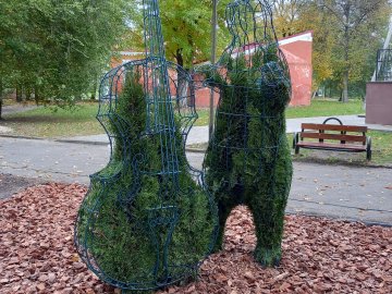 Поліція знайшла вандалів, які пошкодили топіарні фігури у Ковелі