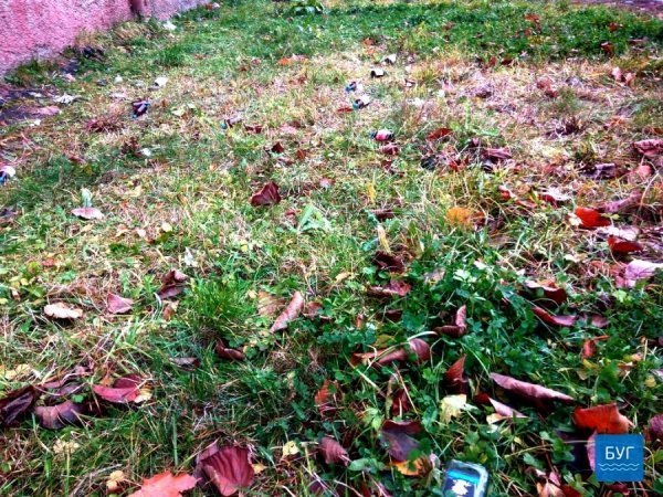 У Нововолинську процвітає «аптечний» алкоголізм