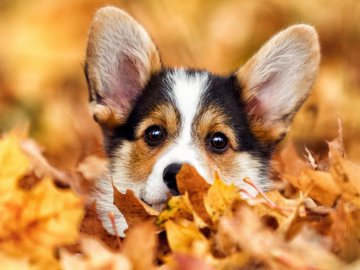 Погода у Луцьку та Волинській області на вівторок, 3 жовтня