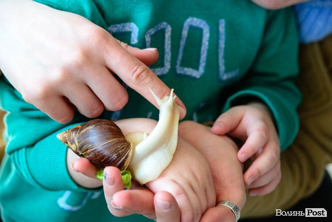 У луцькому «Промені» відбувся масштабний захід із гаслом «еко». ФОТО