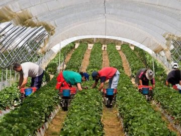 Порахували, скільки українці заробляють в Польщі