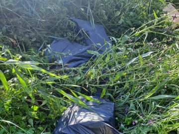 На волинському кордоні  «тютюнові ділки»  втратили 8,5 тисяч пачок сигарет. ФОТО