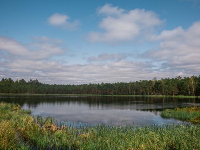 Краса, яка захоплює душу: дивовижні краєвиди Волині. ФОТО