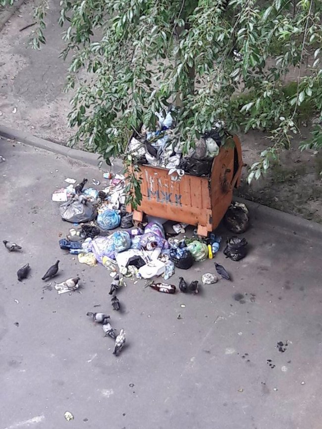 Неначе в Львові: в Луцьку майже місяць не вивозять сміття з контейнера