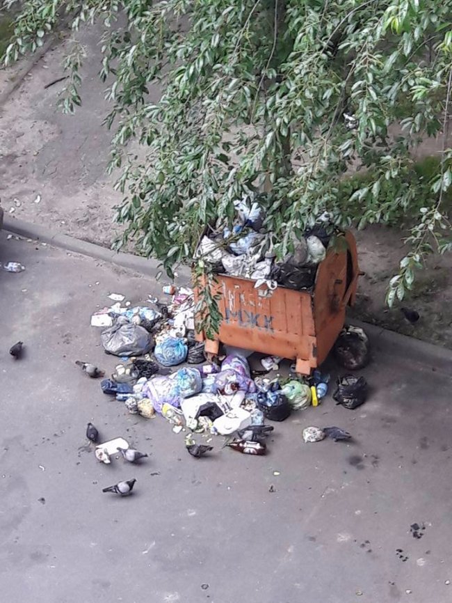 Неначе в Львові: в Луцьку майже місяць не вивозять сміття з контейнера