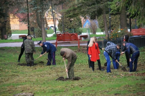 Як луцька міліція садила дерева. ФОТО