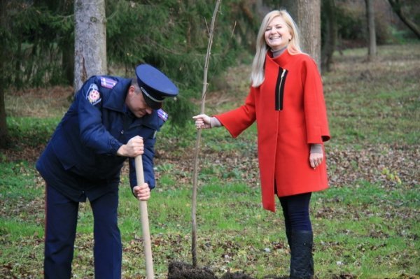Як луцька міліція садила дерева. ФОТО