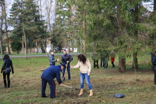 Як луцька міліція садила дерева. ФОТО