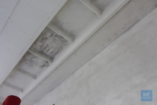 Через дірявий дах може обвалитись стіна школи на Волині. ФОТО