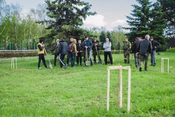 На Волині військові висадили липову алею. ФОТО
