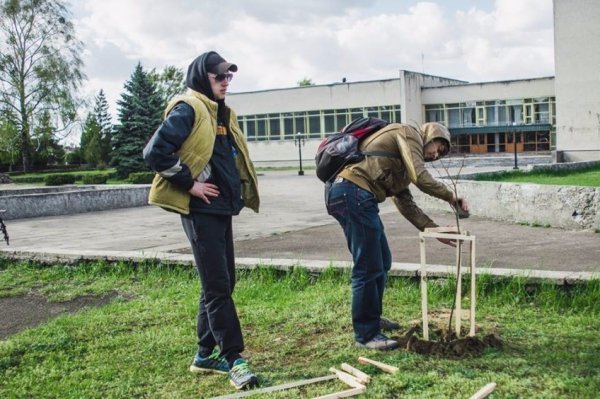 На Волині військові висадили липову алею. ФОТО