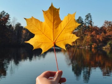 Погода на завтра, 6 жовтня, у Луцьку та Волинській області