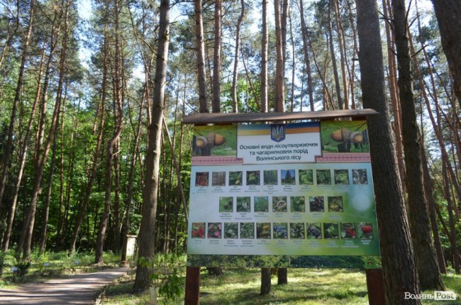 Еко-туризм «за крок» від Луцька: всі стежки ведуть до Воротнева